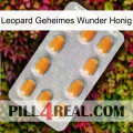 Leopard Secret Miracle Honey cialis3